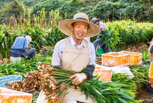 片岡昇一