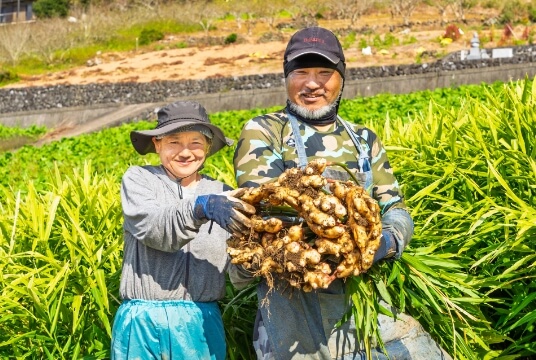 和田早生